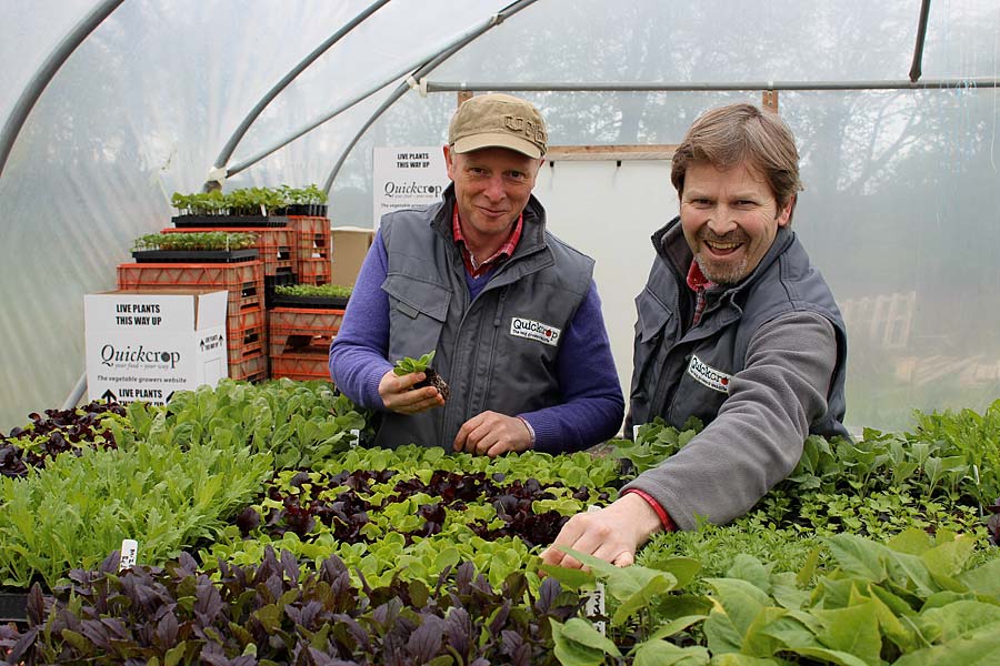 Andrew-&-Niall-Quickcrop-polytunnel